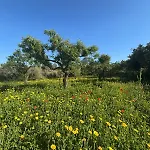Vakantiehuis Casa Mushin Useras