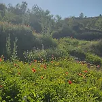 Casa Mushin Hébergement de vacances Useras