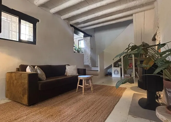 Casa Mushin *
