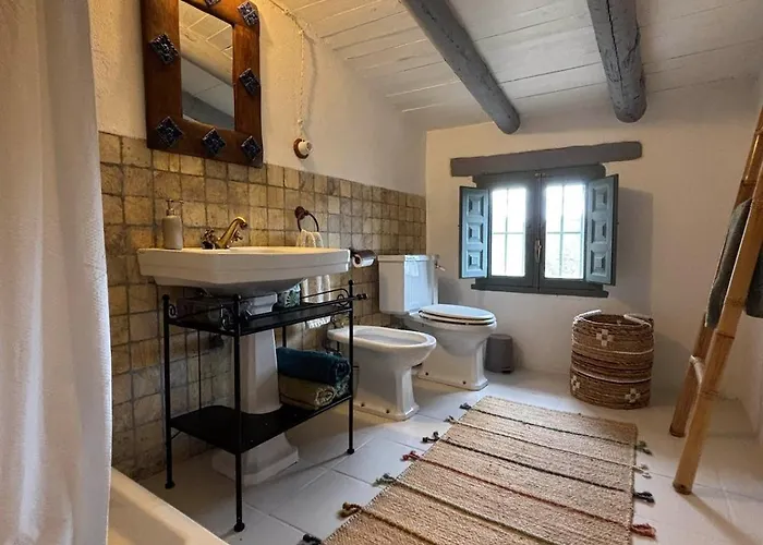 Casa Mushin
