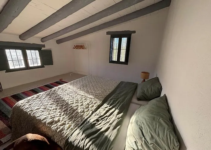 Casa Mushin * Useras