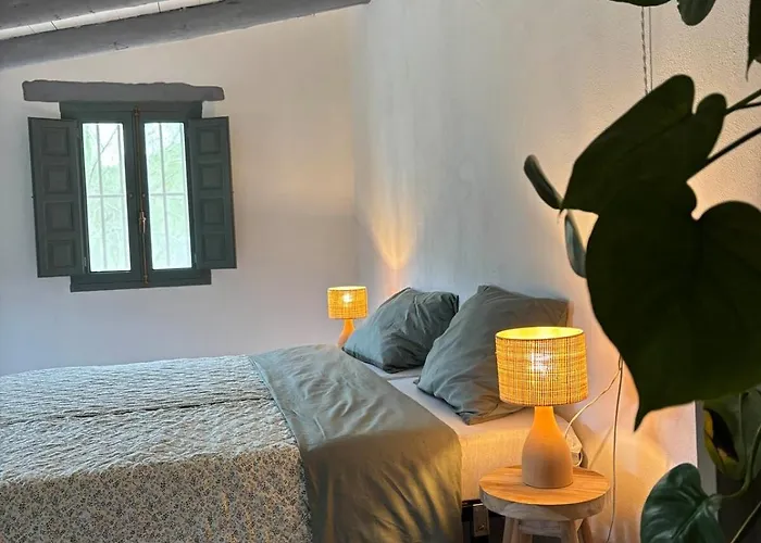Casa Mushin