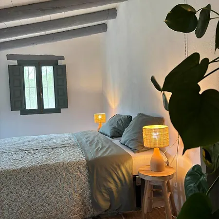 Casa Mushin